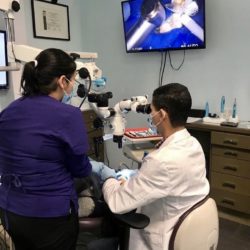 Endodontist Specialist